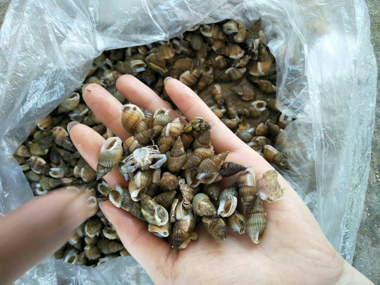 微信图片_20180610165456