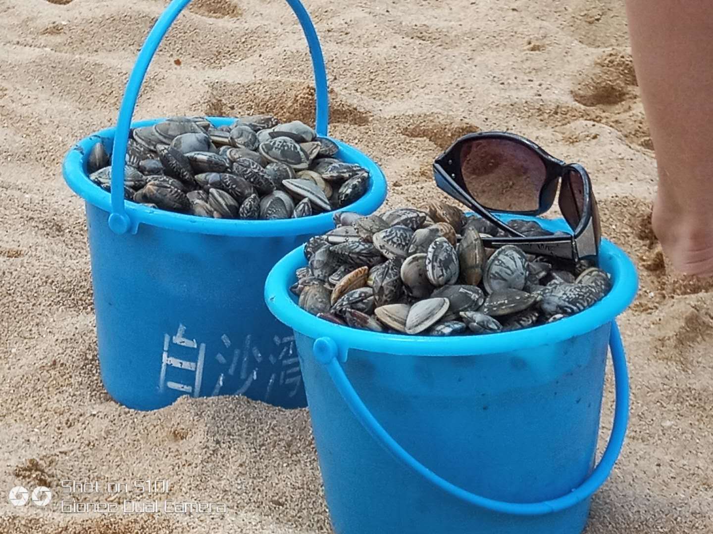 微信图片_20180702092823