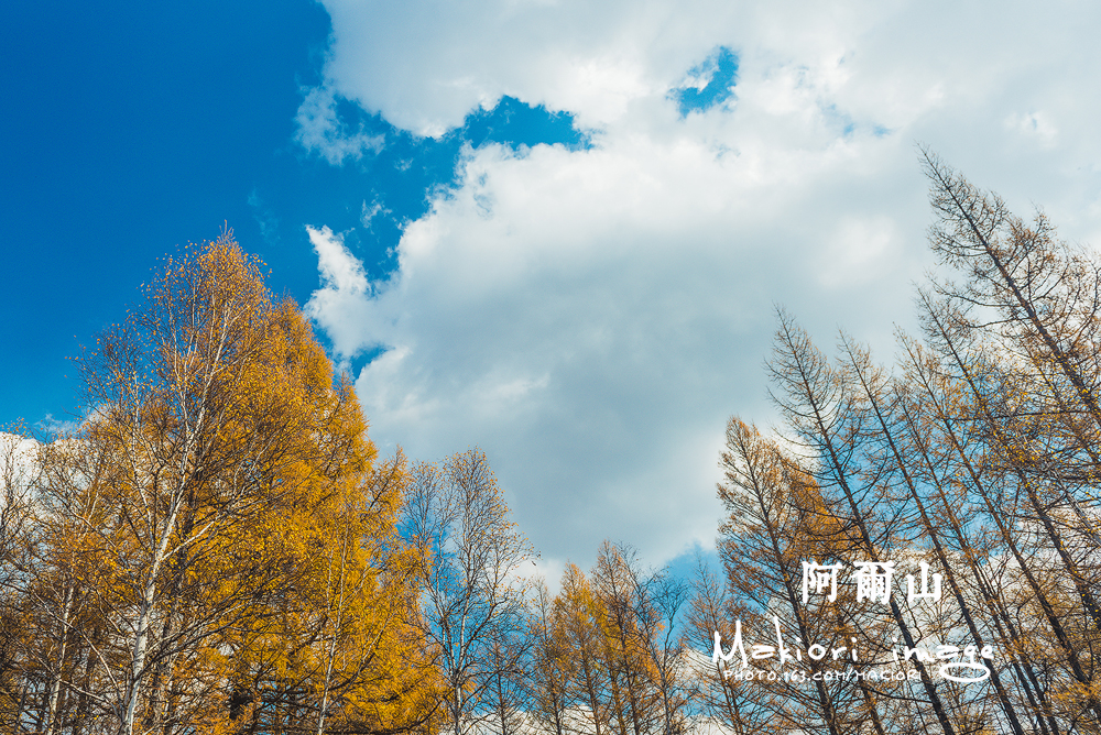 阿尔山13 阿尔山13