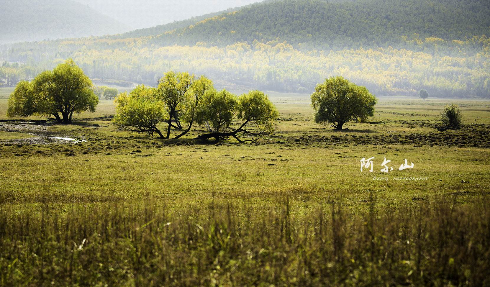 调整大小 wKgBs1gkJ0KAAGMCACK4JtJOxmE70