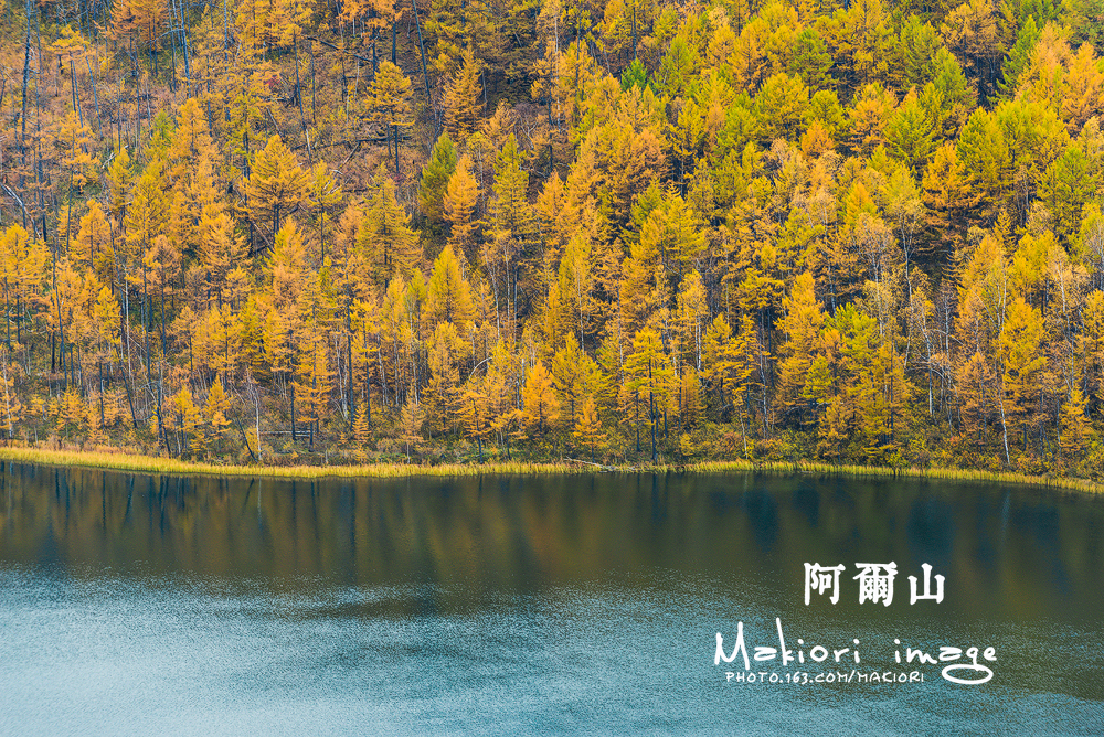 阿尔山22 阿尔山22