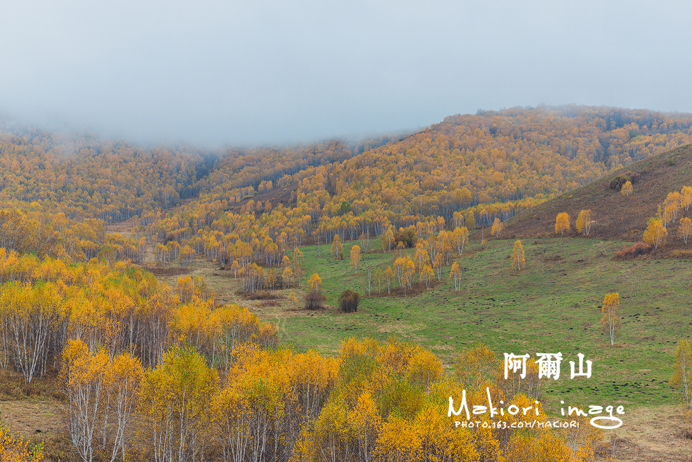 阿尔山36 阿尔山36