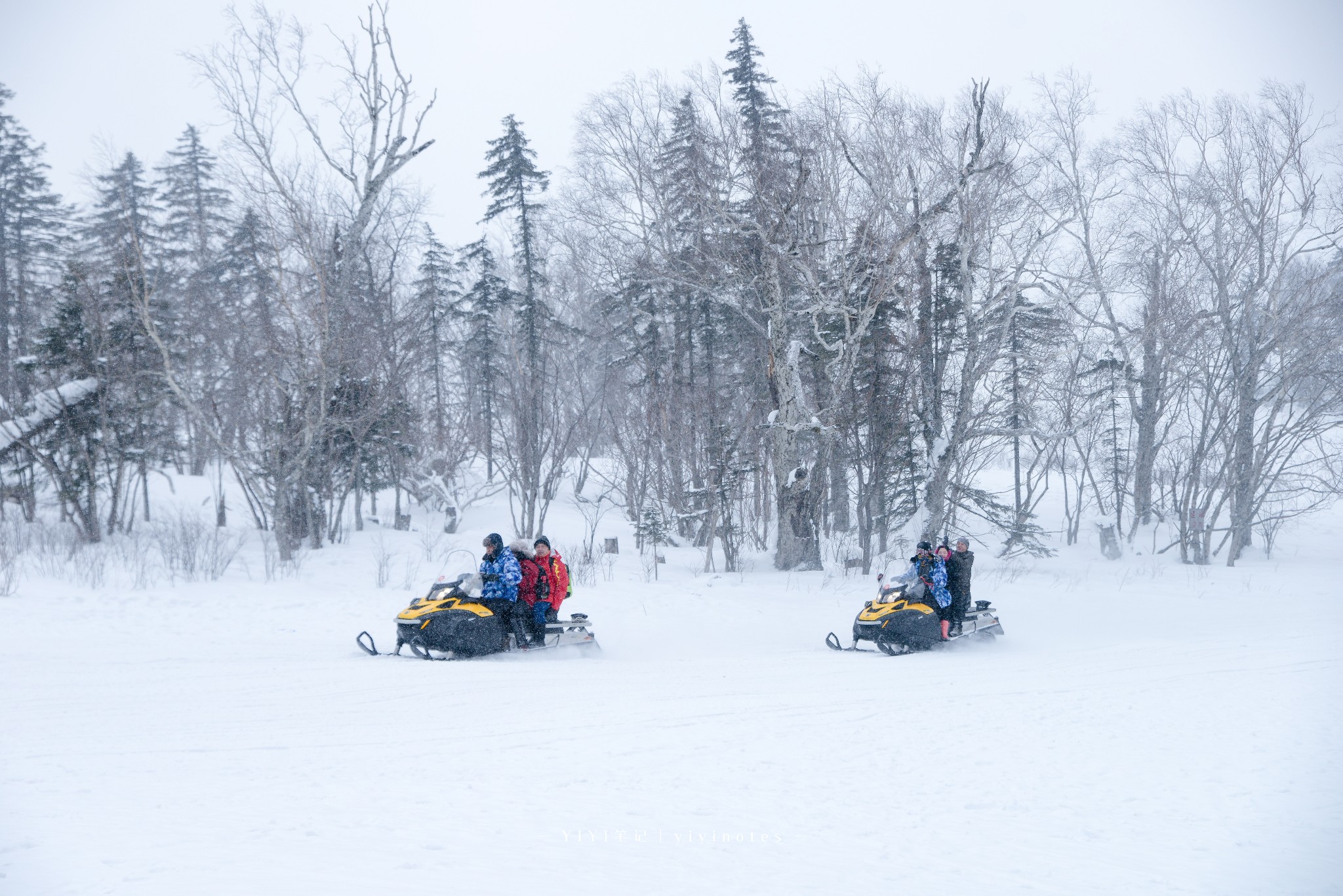 wKgBEFpg1JiAdDF_AAtq78JojSY90