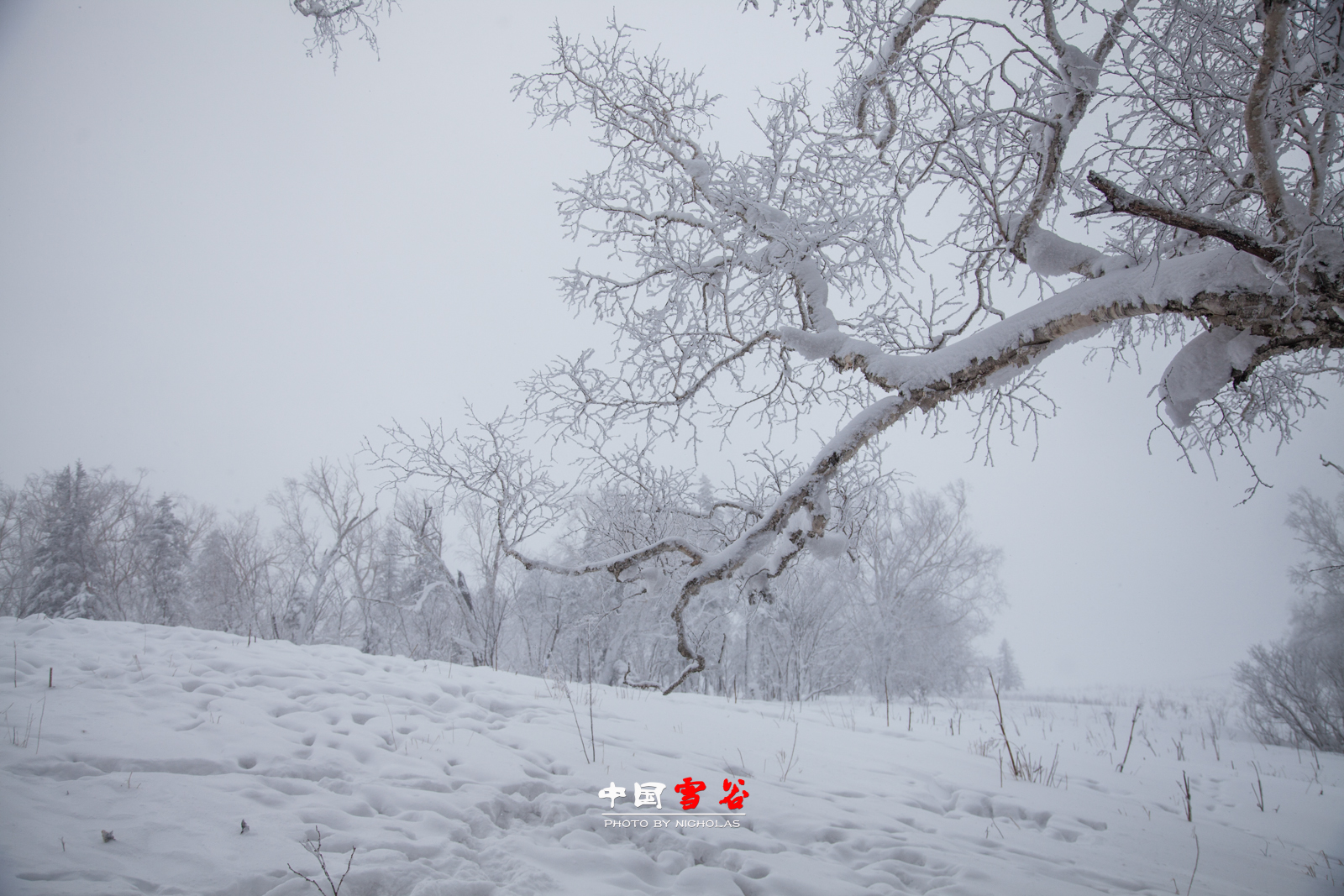 wKgB6lTxbyyAG_qxABES6WqCksA61