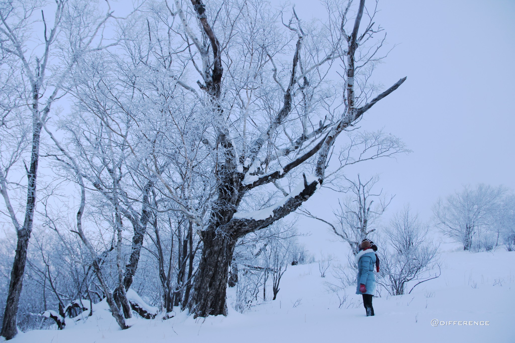 wKgB6lS-XUOAEolRAAwPHECigVg99