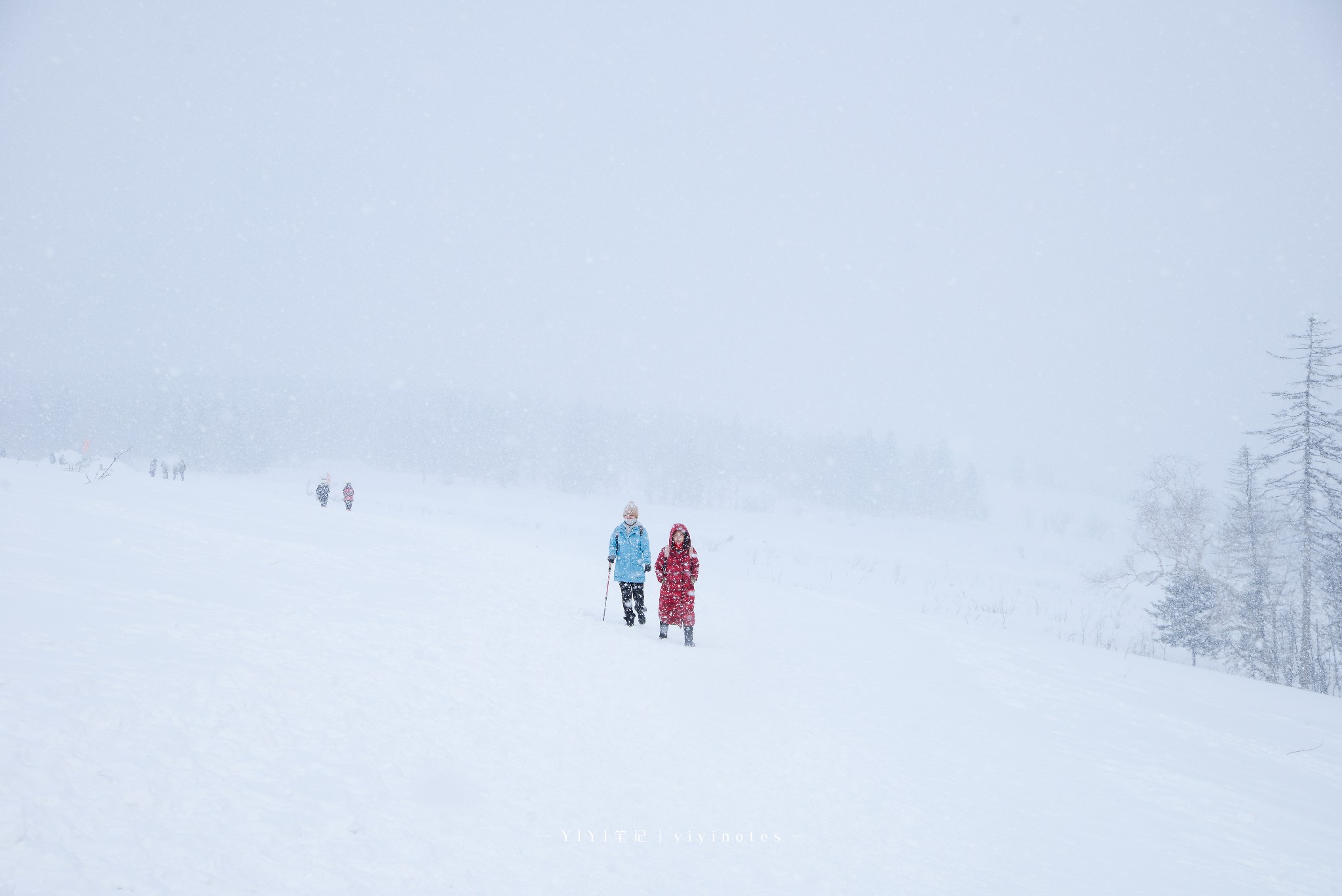 wKgBEFpg1KqAfKtiAAPMIjPRlxE16