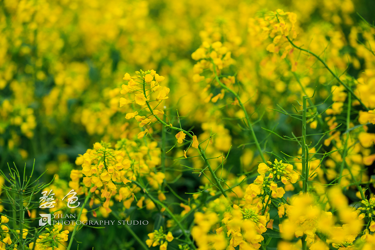 wKgBEFq7KvOAfJc6ABQ_KLGHMFg40