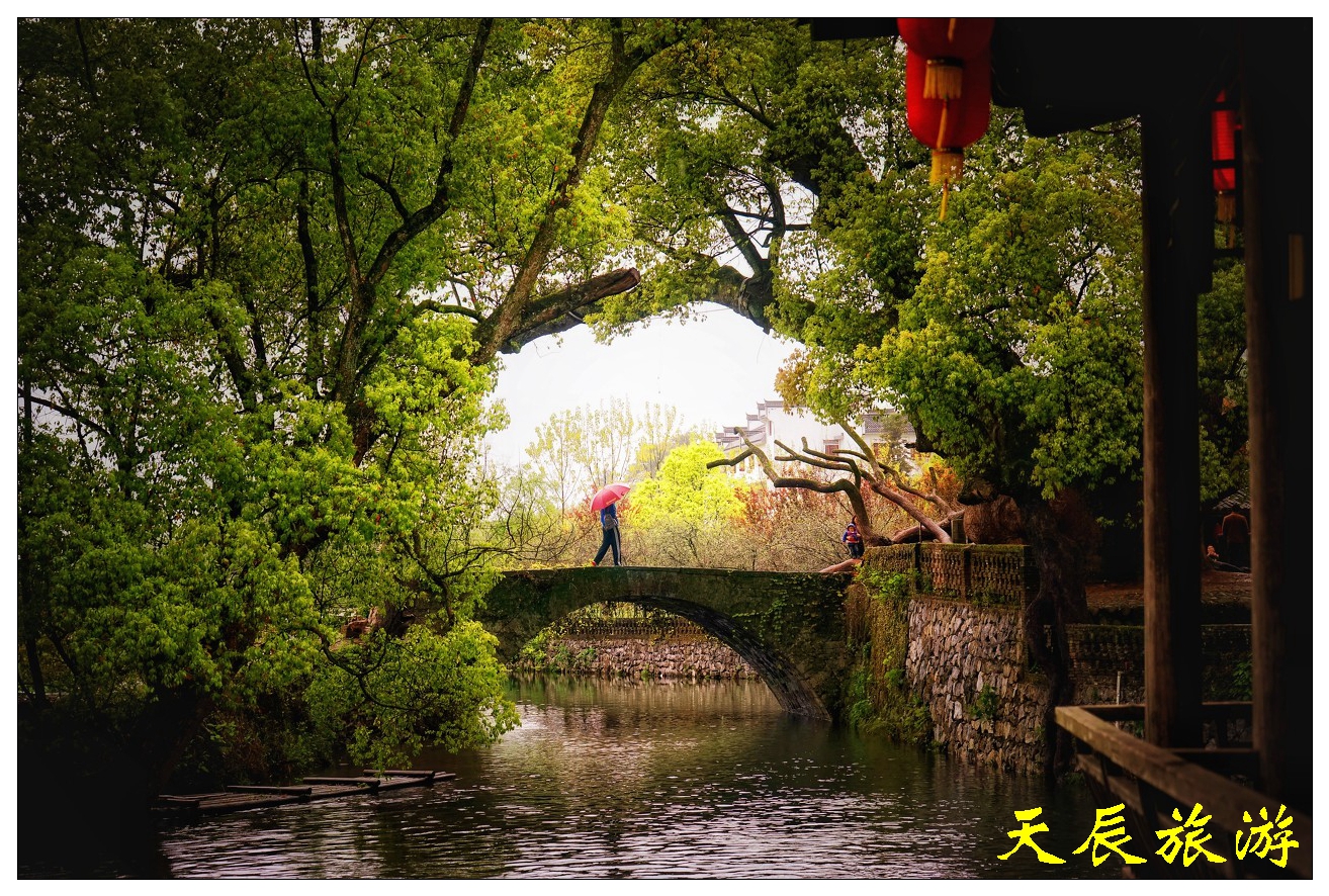 微信图片_20190305091204