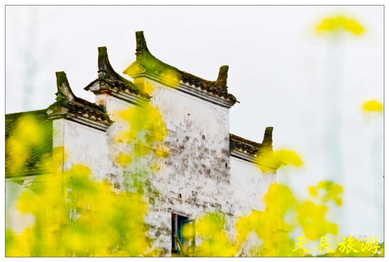 微信图片_20190305091034