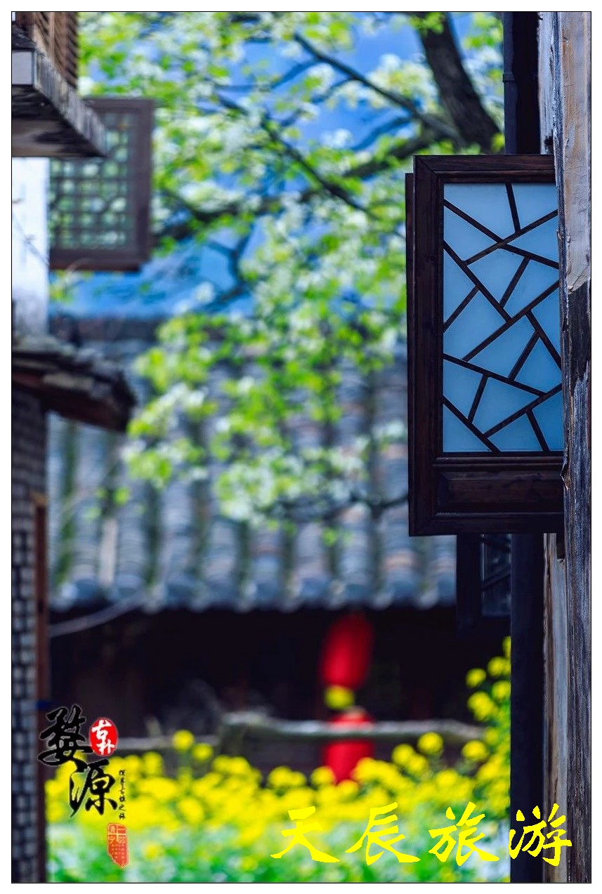 微信图片_20190305091214