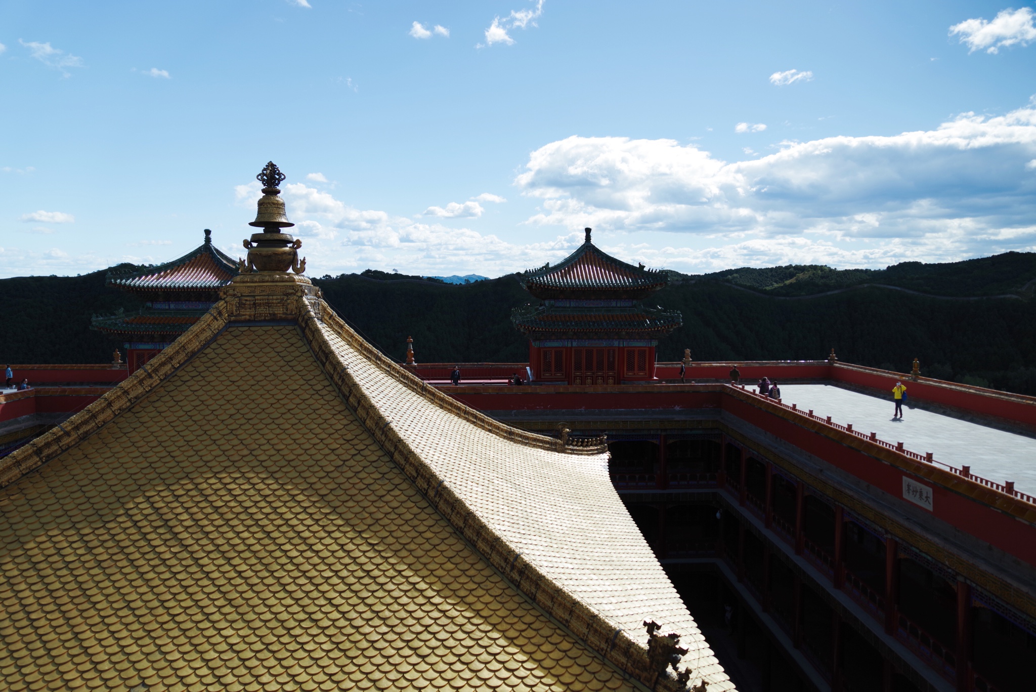 wKgED1uqUeiAFhcSAAzn-xU1N1c92