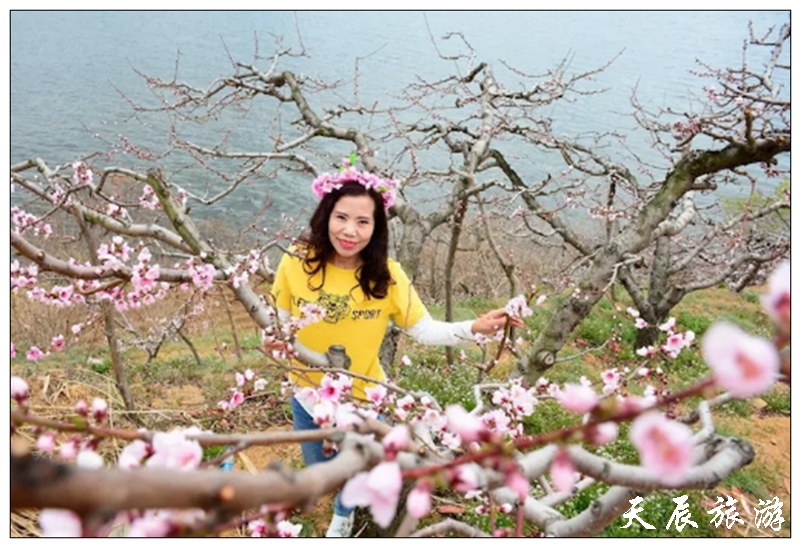 微信图片_20190429155947