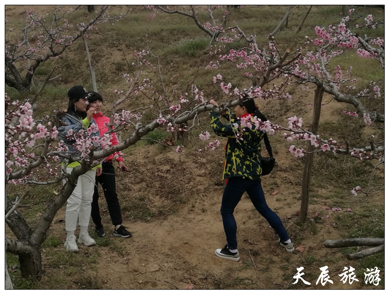 微信图片_20190429161455