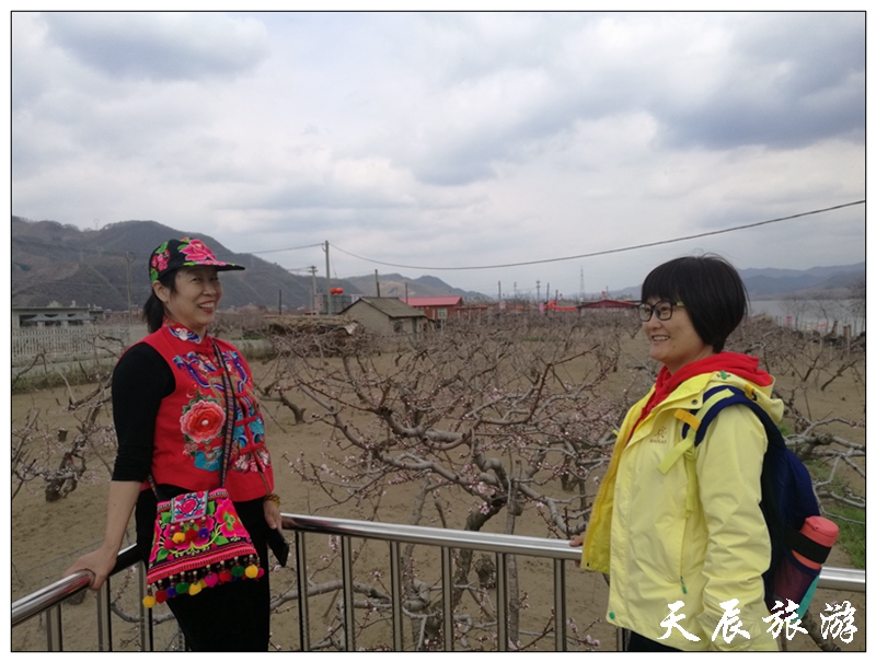 微信图片_20190429154443