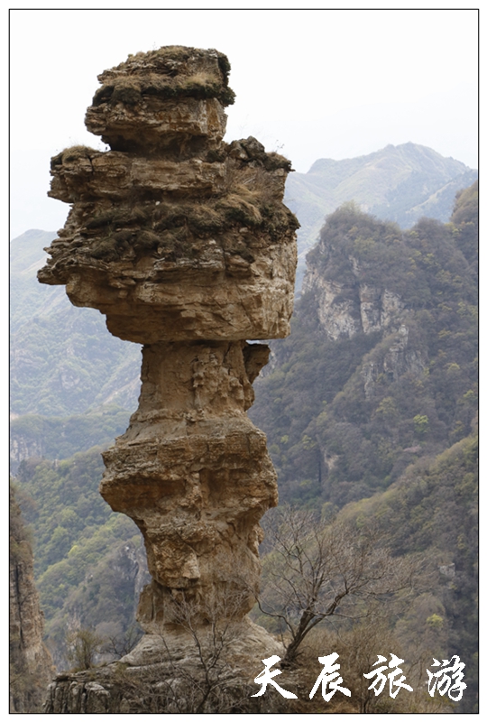 微信图片_20190508110246