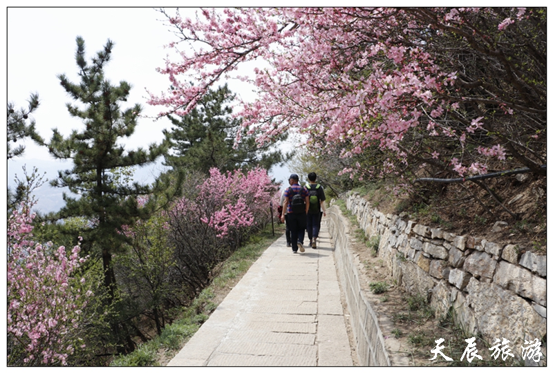 微信图片_20190508110228