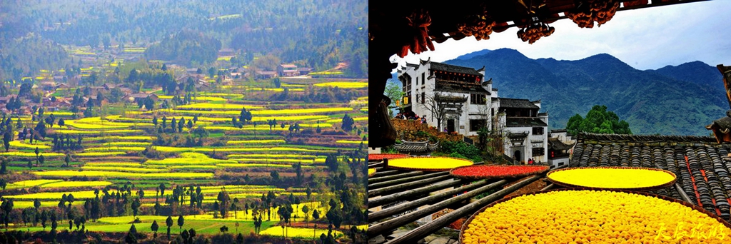 src=http___inews.gtimg.com_newsapp_match_0_11034590068_0.jpg&refer=http___inews.gtimg_副本_副本_副本_副本_副本_副本_副本