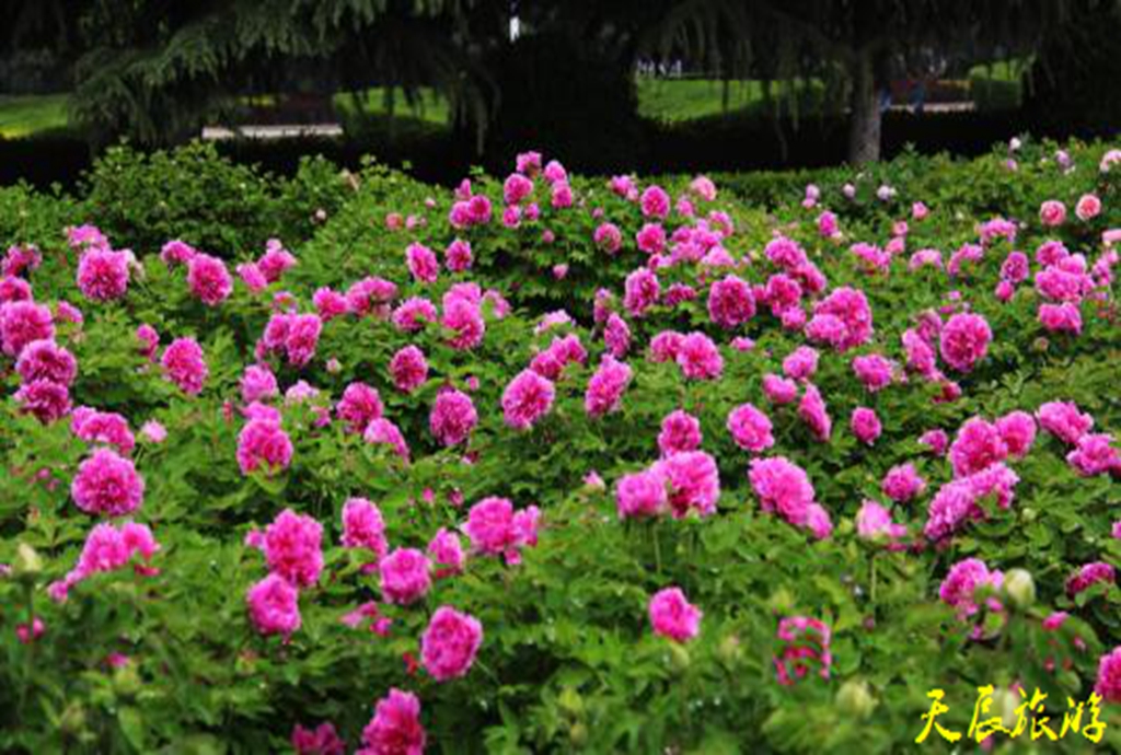 u=1405326375,1354806455&fm=27&gp=0