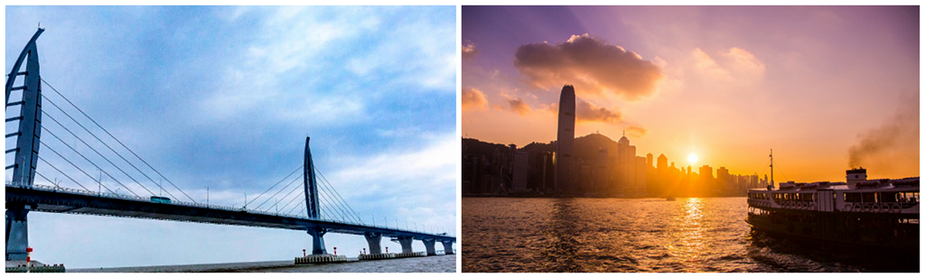 微信图片_20231205140833_副本