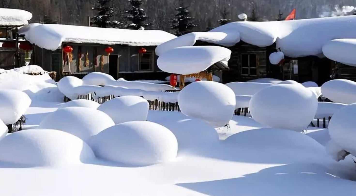 微信图片_20231208101036