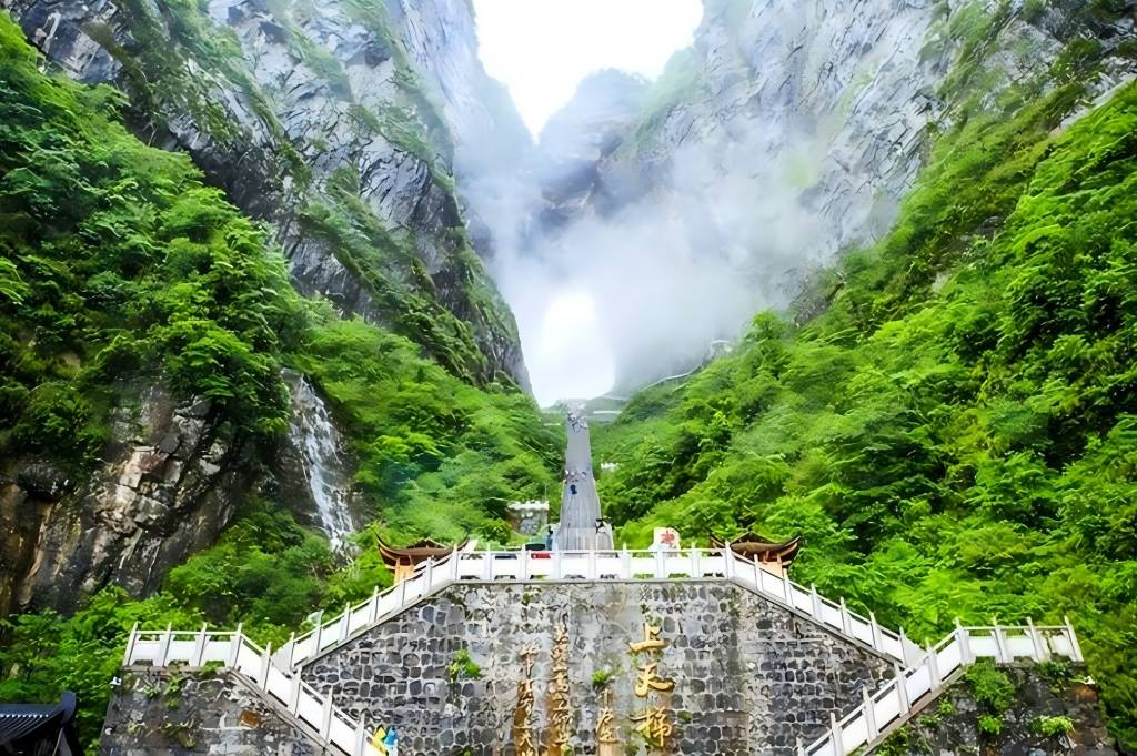 森林公园