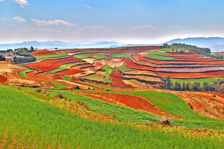 【春摄滇东南】3月9日 云南-罗平油菜花·弥勒-东方韵·普者黑·坝美-蒙自-碧色寨-·元阳梯田·建水古城·抚仙湖··东川红土地  8日游<昆明起止 2680元起> 