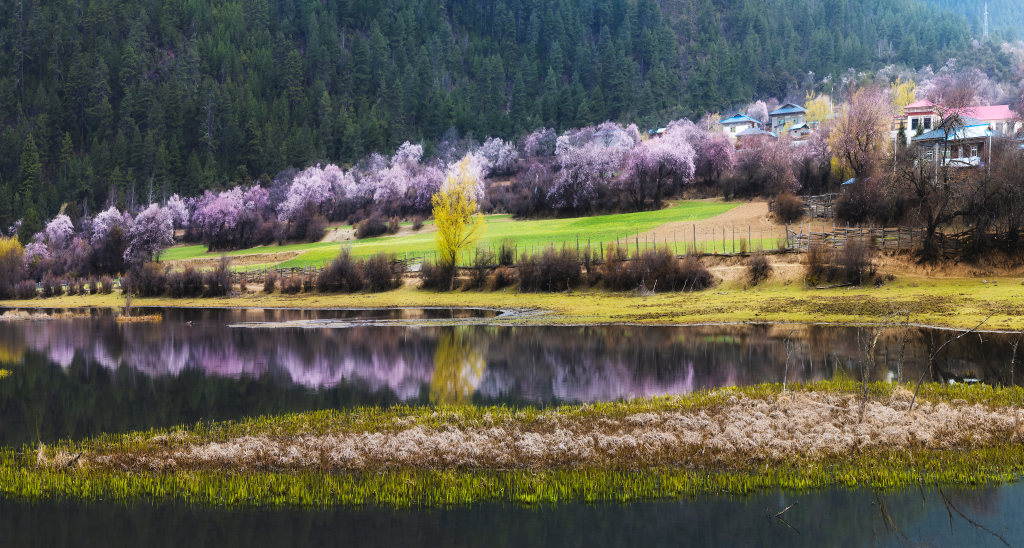 微信图片_20250110101816