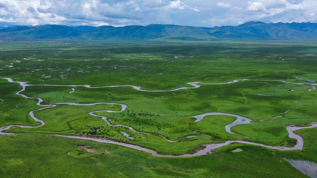 阿万仓湿地