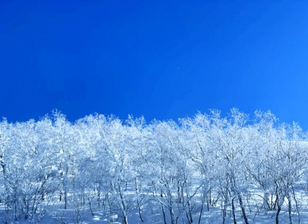 冰雪十里画廊 冰雪十里画廊
