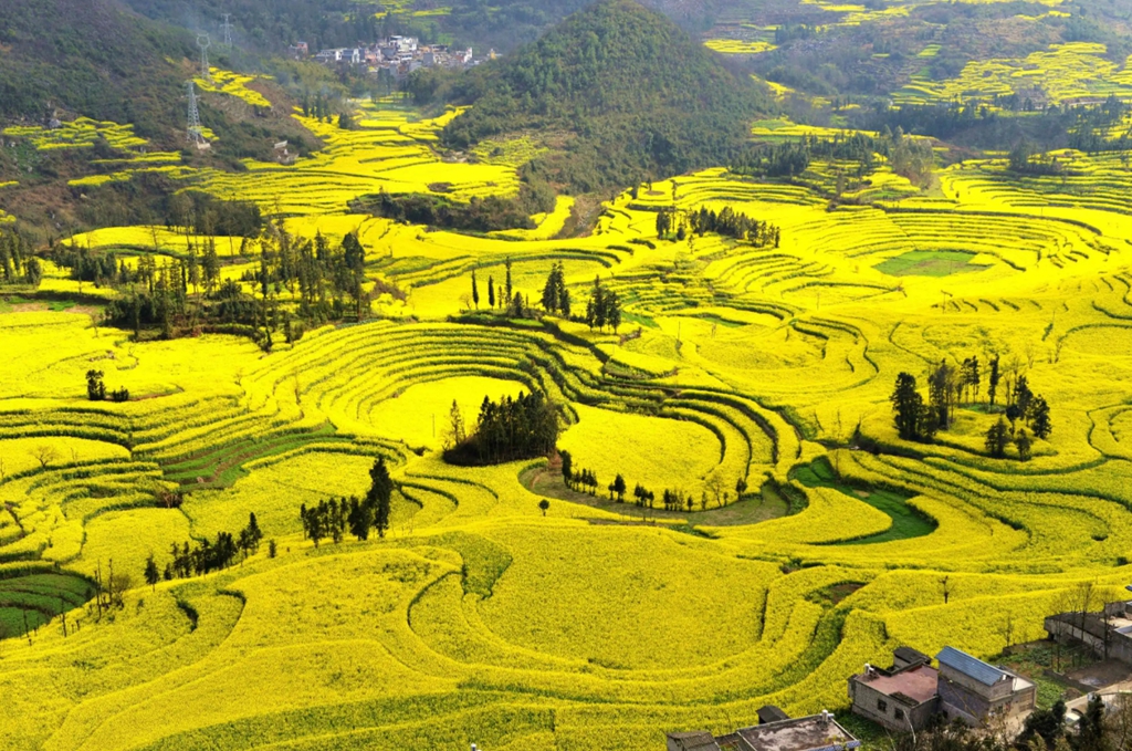 微信图片_20221119143831