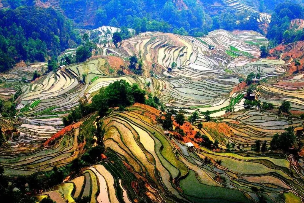 微信图片_20221119143002