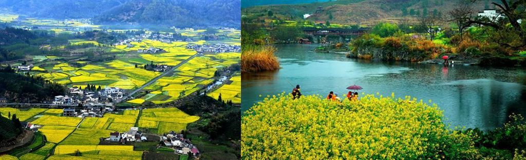 src=http___inews.gtimg.com_newsapp_match_0_11034590068_0.jpg&refer=http___inews.gtimg_副本_副本_副本_副本_副本_副本_副本_副本