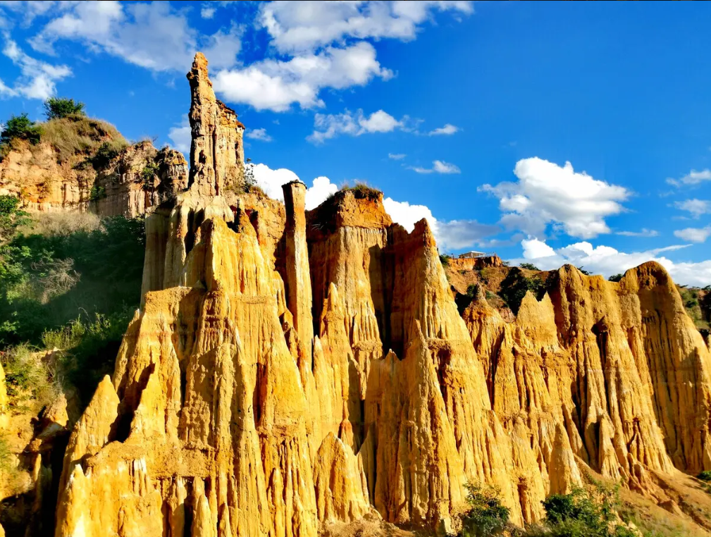 微信图片_20221119151428 微信图片_20221119151428