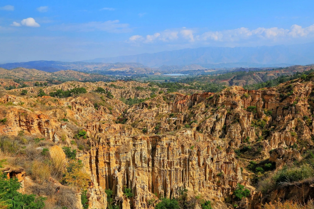 微信图片_20221119151432 微信图片_20221119151432